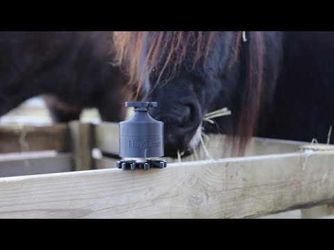 HayTime Mechanical